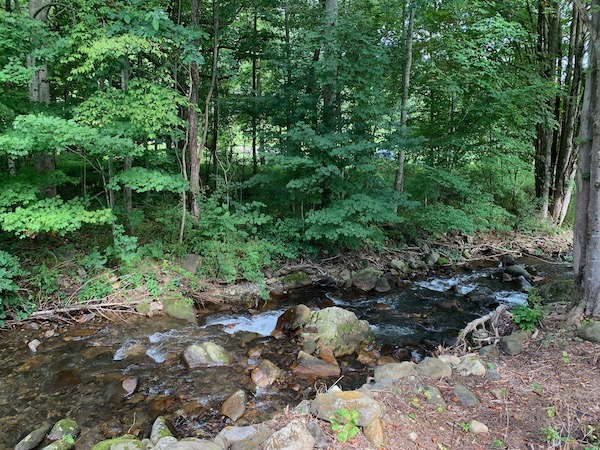 Yard After Renovation